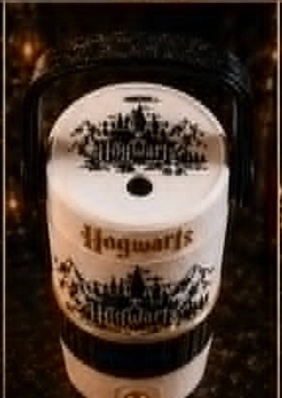 Hogwarts can koozie