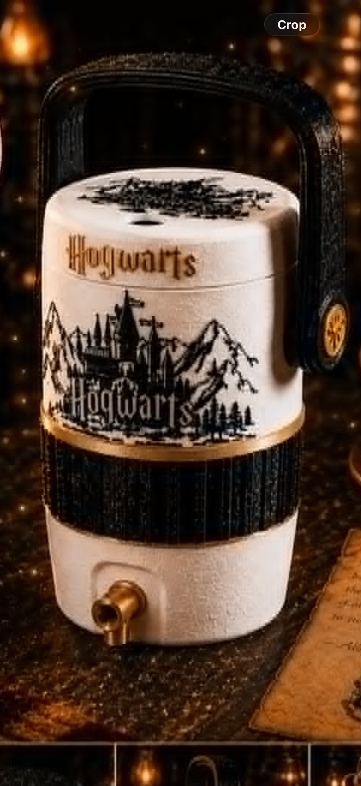 Hogwarts can koozie